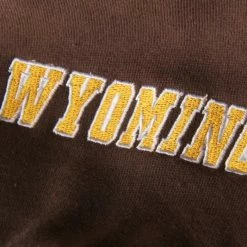 Flash Sale 👏 Women's Stadium Athletic Brown Wyoming Cowboys Big Logo Pullover Hoodie 🛒 -women‘s clothing store unnamed file 2101