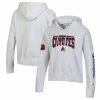 Promo ⭐ Women's Champion Heathered Gray Arizona Coyotes Reverse Weave Pullover Hoodie ✔️